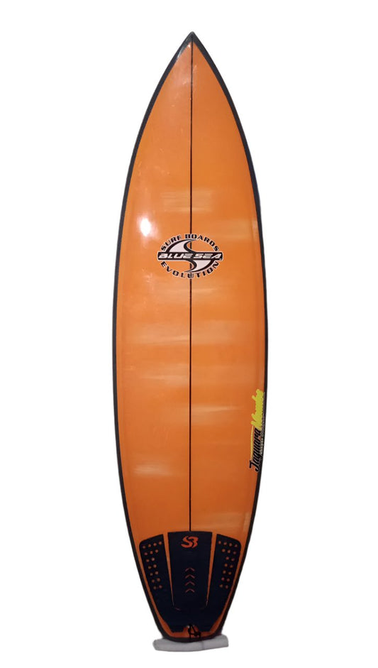 Blue Sea Wilko F-13 EPS 31.51L 6'0